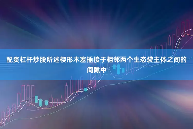 配资杠杆炒股所述楔形木塞插接于相邻两个生态袋主体之间的间隙中