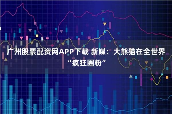 广州股票配资网APP下载 新媒：大熊猫在全世界“疯狂圈粉”