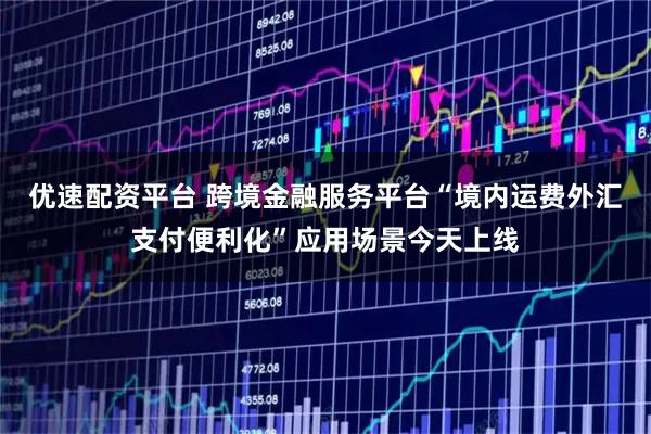 优速配资平台 跨境金融服务平台“境内运费外汇支付便利化”应用场景今天上线
