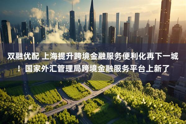 双融优配 上海提升跨境金融服务便利化再下一城！国家外汇管理局跨境金融服务平台上新了